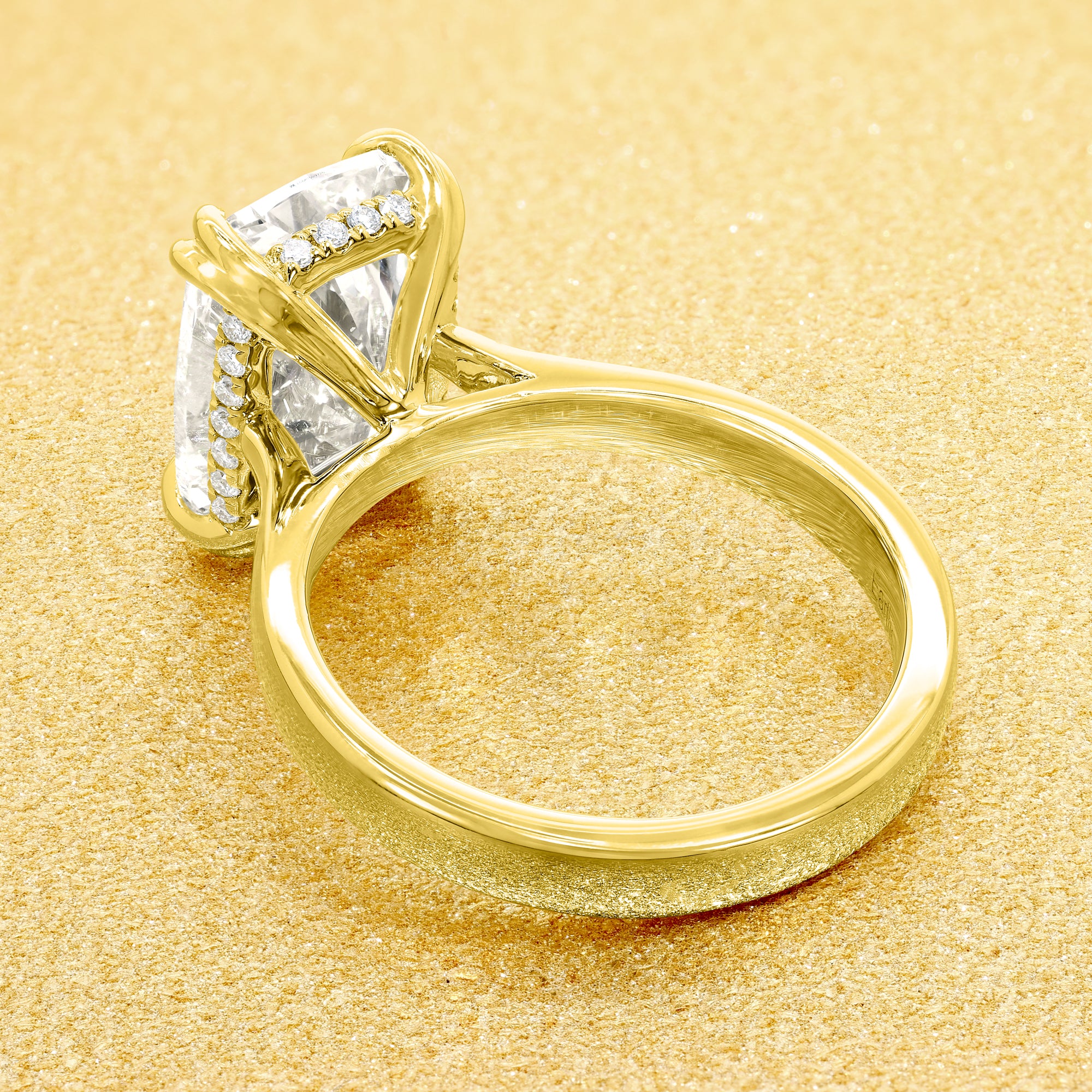 The Eva Luxe, 4.01ct Elongated Cushion-cut Lab-grown Diamond Hidden Halo Cathedral Solitaire Ring